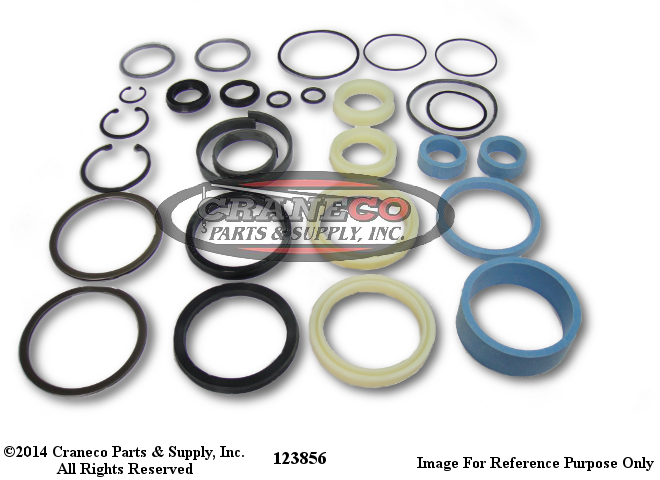 123856 National Seal Kit